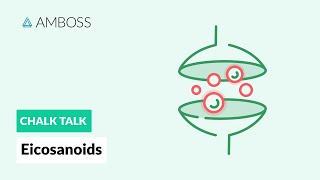 Eicosanoids Formation Function and Subclasses [upl. by Ellenar283]