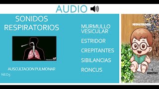 RUIDOS RESPIRATORIOS AUDIO [upl. by Ardnekahs]