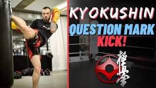 Questionmark Kick  How to throw a Question Mark Kick Karate for MMA [upl. by Mikey]