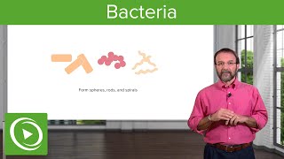 Bacteria Structure amp Types – Microbiology  Lecturio [upl. by Drummond707]