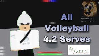 Every Serve in Volleyball 42 Easy to Advanced [upl. by Nibuz]