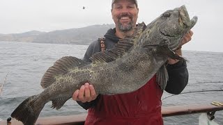 How To Catch Lingcod amp Rockfish Episode 9 [upl. by Ariamo]