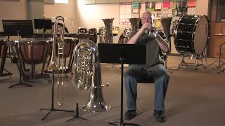 How Do Brass Instruments Make Sound [upl. by Philippine517]