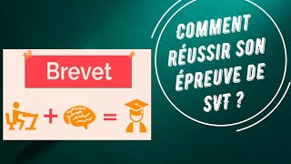 Brevet  Comment réussir son épreuve de SVT  sujet dentrainement n°1 [upl. by Ikkim]