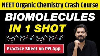 BIOMOLECULES in One Shot  All Concepts Tricks amp PYQs  Class 12  NEET [upl. by Zetnwahs]