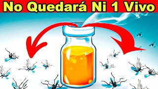 5 TRUCOS CASEROS PARA ELIMINAR LOS ZANCUDOS Y MOSQUITOS POR LAS NOCHES [upl. by Einrae]