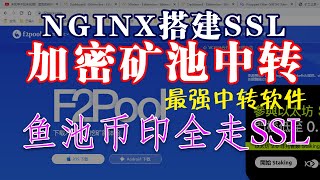 NGINX搭建SSL加密矿池中转E池鱼池币印币安欧易蚂蚁最强悍中转软件 [upl. by Meda]