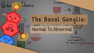 The Basal Ganglia The direct and indirect pathways [upl. by Ethan]