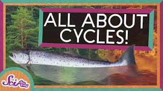 From Seasons to Salmon All About Cycles  SciShow Kids Compilation [upl. by Holihs]