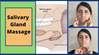 Salivary Gland Massage  Parotid and Submandibular [upl. by Aipmylo]