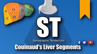 Ultrasound Couinauds Liver Segments [upl. by Merce]