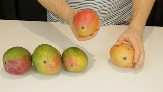 How to Tell If a Mango is Ripe [upl. by Nnod]