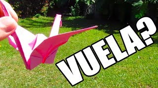 COMO HACER UNA GRULLA DE PAPEL AL AIRE LIBRE  ORIGAMI FACIL [upl. by Melquist661]