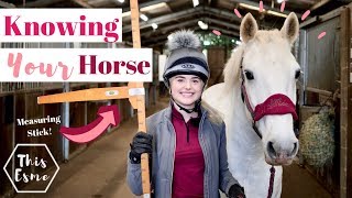 How Well Do You Know Your Horse Beginner Series  This Esme [upl. by Thinia]