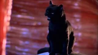 The Best Of Salem Sabrina The Teenage Witch [upl. by Obnukotalo]