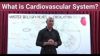 What is Cardiovascular System  Circulatory System  Biology  NEET  GCSE [upl. by Ynnek]