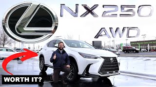 2023 Lexus NX 250 Just A Fancy RAV4 [upl. by Abrams586]