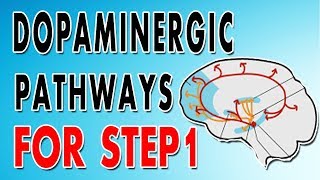 Dopaminergic Pathways [upl. by Hausner]