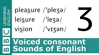 English Pronunciation 👄 Voiced Consonant  ʒ  pleasure leisure and vision [upl. by Anilehs]