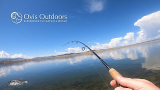 Fishing Spinney Mountain Reservoir in Colorado [upl. by Fifi]