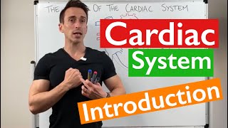 Introduction to the Cardiac System [upl. by Anivlis]