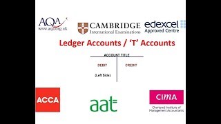 Double Entry Ledger T Accounts [upl. by Aenert]