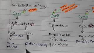 NSAID Pharmacology introduction [upl. by Longwood]