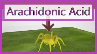 Arachidonic Acid Pathway Mnemonic [upl. by Phyllys347]