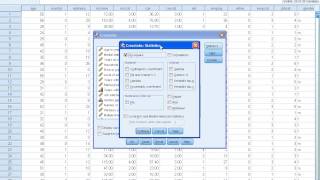 SPSS Tutorials Cross Tabulation [upl. by Lleon]