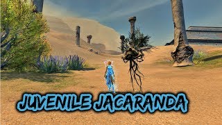 Guild Wars 2 Path of Fire  Soulbeast Pet  Juvenile Jacaranda Location [upl. by Aynotal]