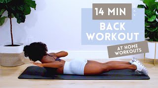 14 MINUTE BACK WORKOUT FOR STRONGER BACK  BETTER POSTURE  NO EQUIPMENT  BEGINNER  INTERMEDIATE [upl. by Siurad]