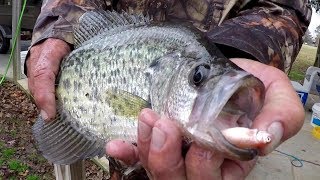 Crappie Fishing With A Bobber and Live Minnows [upl. by Rednasela182]