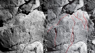 Some Asteroids ‘Aged Early’ by Sun NASA Finds [upl. by Gnem]