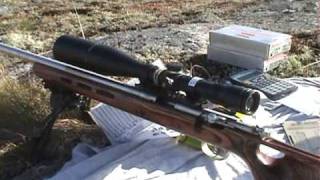 Long Range Shooting 22 LR Rimfire 400 Yards Savage Mark II BTVS [upl. by Welles]