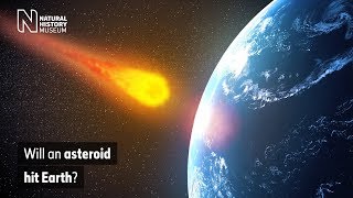 Will an asteroid hit Earth  Natural History Museum [upl. by Jannelle]