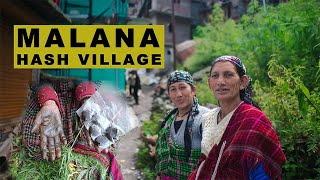 MALANA HASH VILLAGE World Famous Weed Mountain in INDIA  OFFICIAL DOCUMENTARY [upl. by Proffitt708]