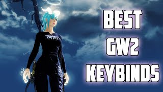 GW2  BEST KEYBINDS amp SETTINGS FOR BEGINNERS [upl. by Gan]