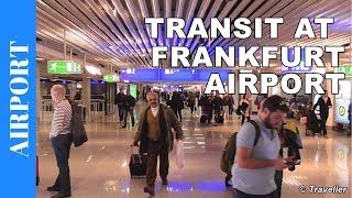 TRANSIT WALK AT FRANKFURT Airport FRA Terminal 1  Connection Flight Transfer Arriving amp Departing [upl. by Mazur]