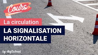 La signalisation horizontale  Code de la route [upl. by Sibyl]