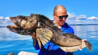 DEEP SEA MONSTER Fishing SOLO Catch Cook amp Camp [upl. by Norabal]